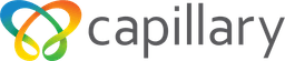 Capillary
